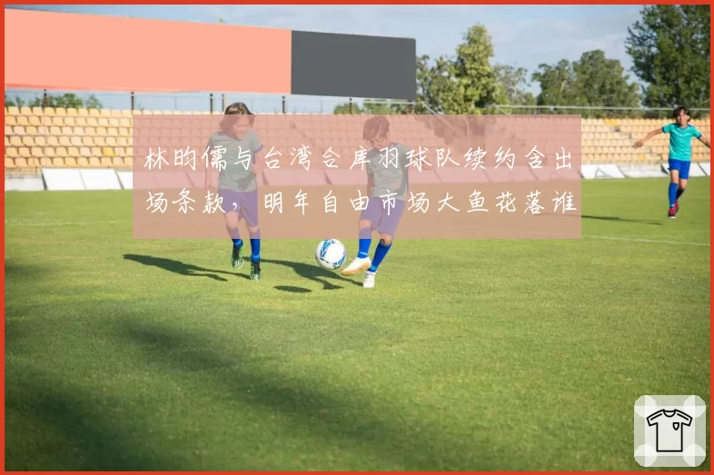 林昀儒与台湾合库羽球队续约含出场条款,明年自由市场大鱼花落谁家?
