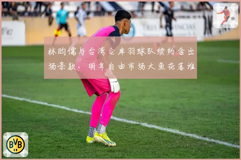 林昀儒与台湾合库羽球队续约含出场条款,明年自由市场大鱼花落谁家?